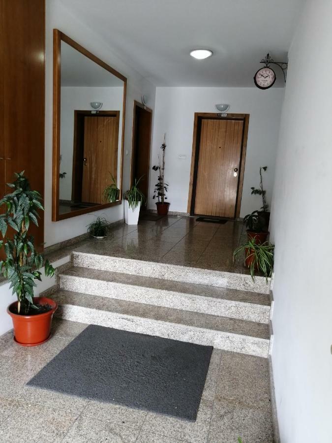 Congidouro Apartman Freixo de Espada à Cinta Kültér fotó